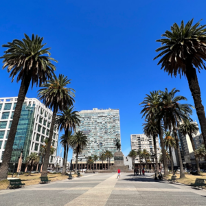 Montevidéu e Vinhos