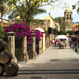 Tesouros Coloniais e os Segredos do Tequila