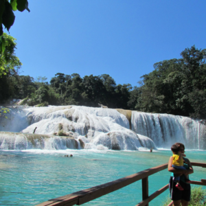 Catrinas & Dia de Muertos