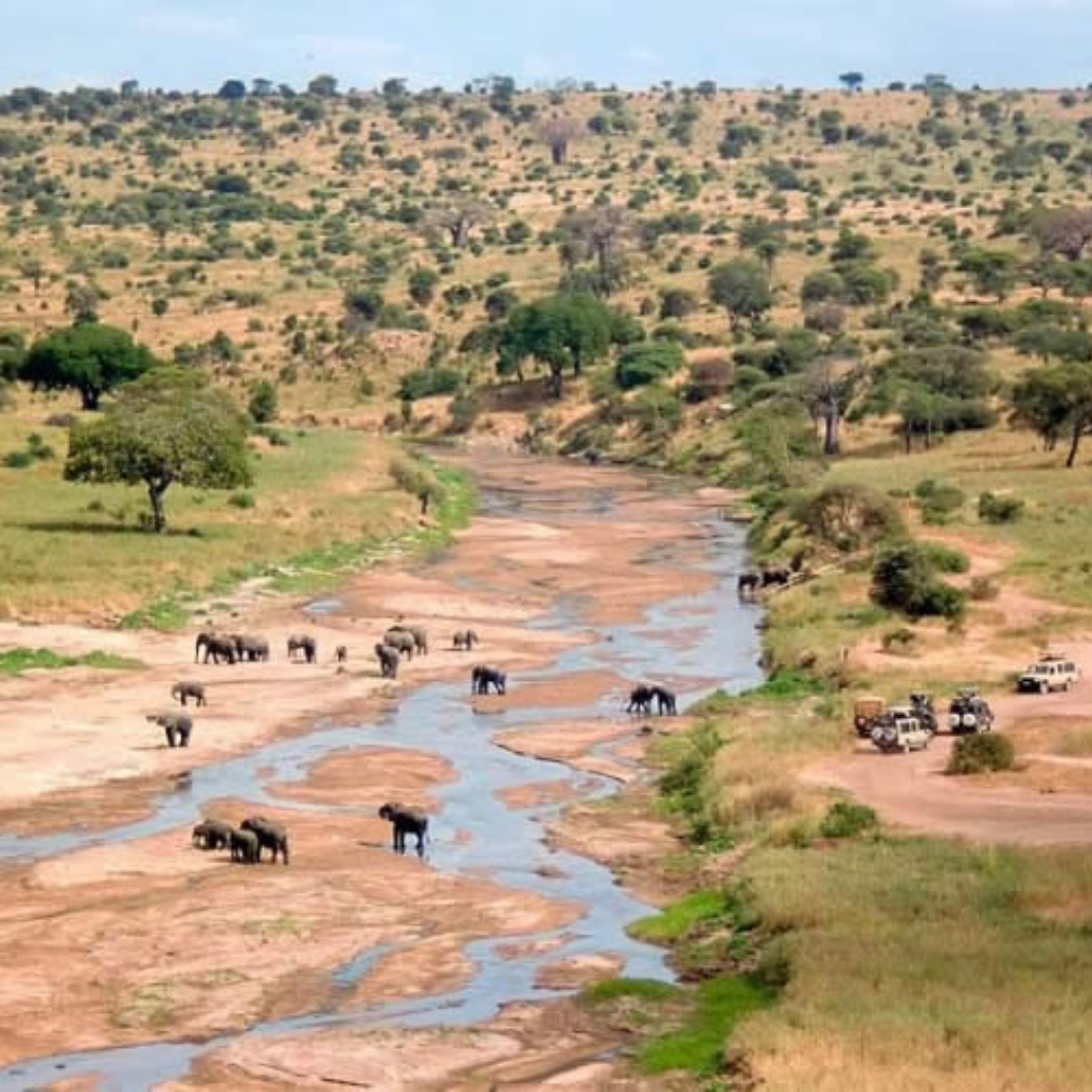 TANZÂNIA E QUÊNIA - Image 2