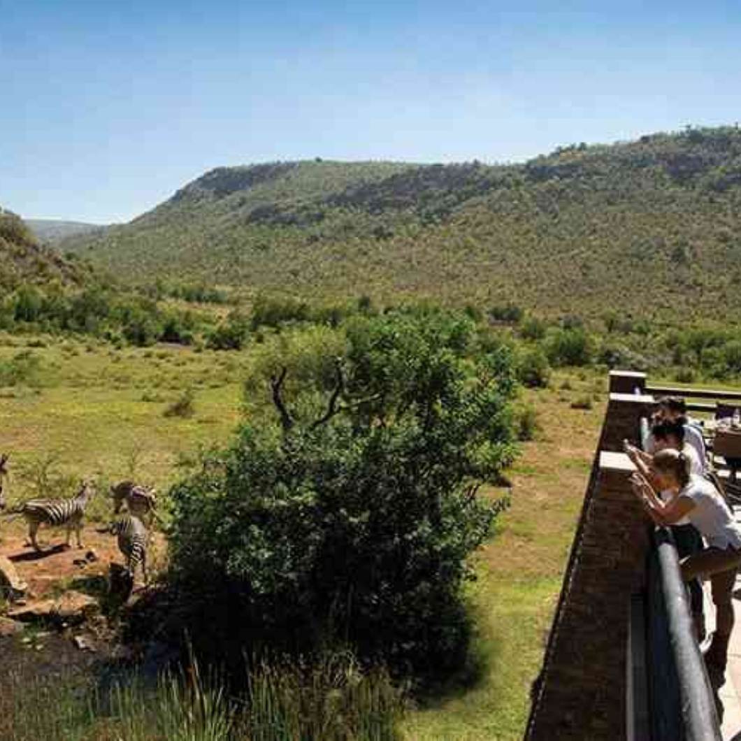 LENDAS DA AFRICA DO SUL - KRUGER E PILANESBERG - Image 2