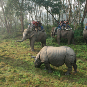 NEPAL – O REINO DOS HIMALAIAS