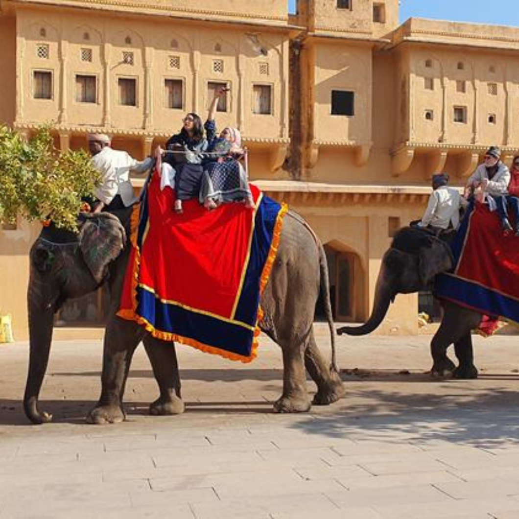 ÍNDIA DOS MARAJÁS - 2026/27 - Image 3